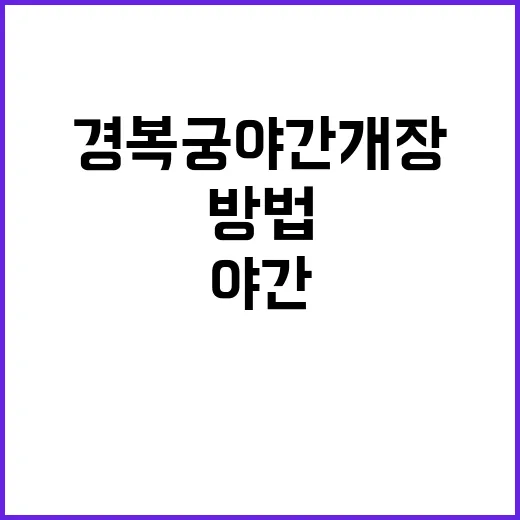 경복궁 야간개장을 …