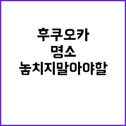 후쿠오카에서 놓치지…