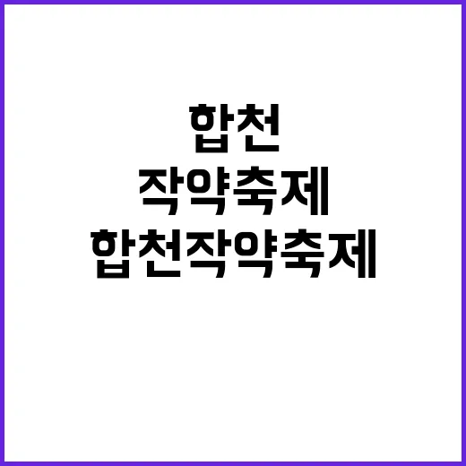 합천 작약축제를 만끽하는 방법