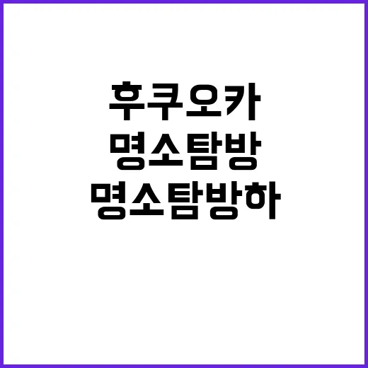 후쿠오카에서 꼭 방…