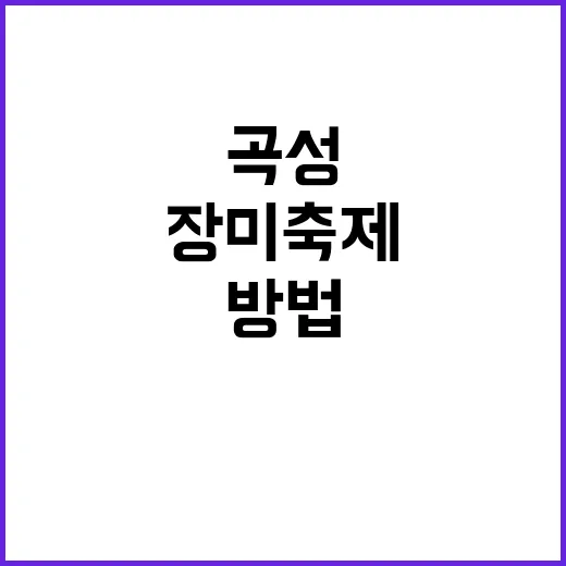 곡성 장미축제를 만…