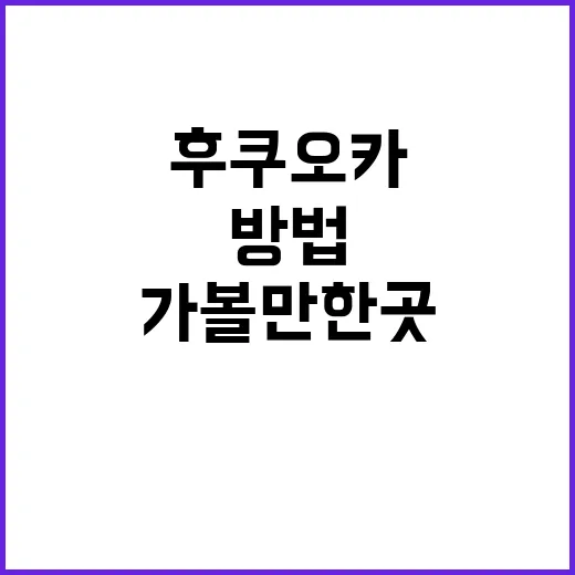 후쿠오카 가볼만한 …