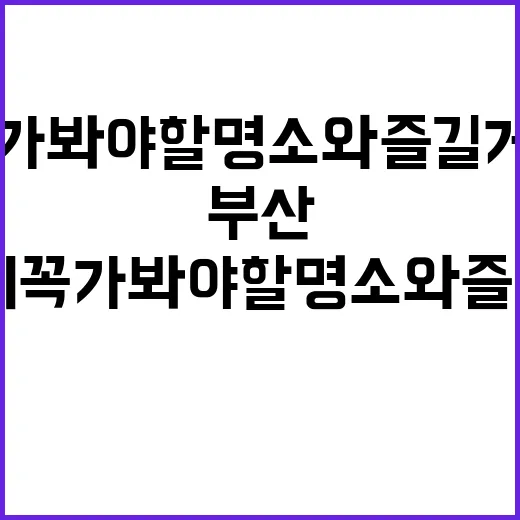 부산 여행 시 꼭 …