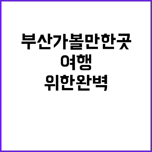 부산 가볼만한 곳:…