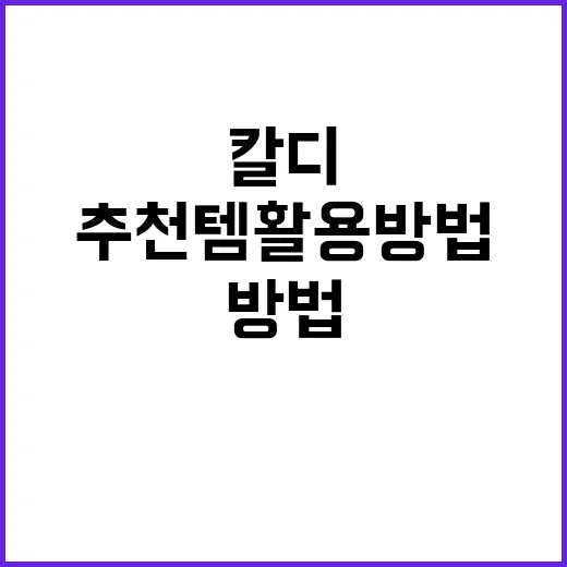 여행 중 칼디 추천…
