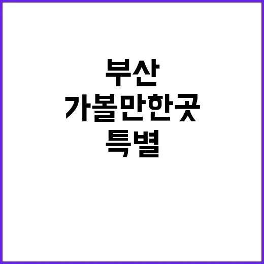 부산 여행을 더욱 …