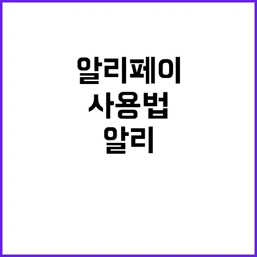 알리페이 사용법: …