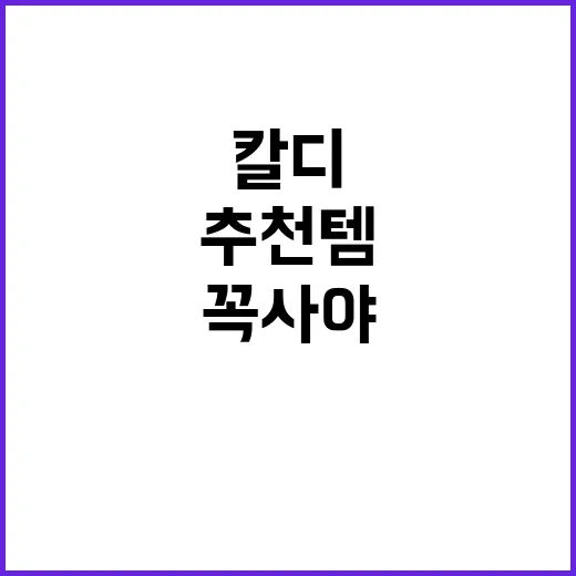 칼디에서 꼭 사야하…