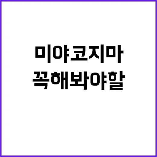 미야코지마에서 꼭 …