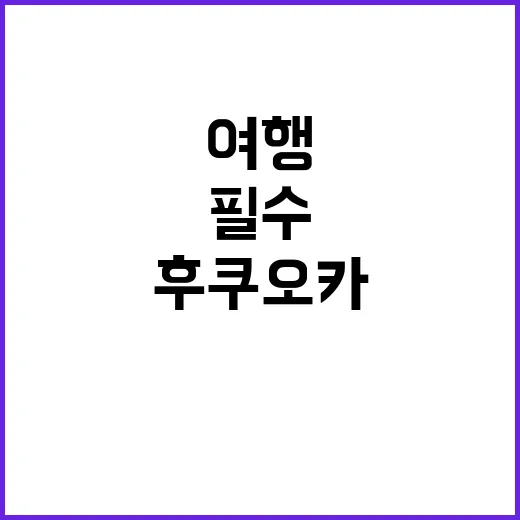 후쿠오카 여행: 놓…