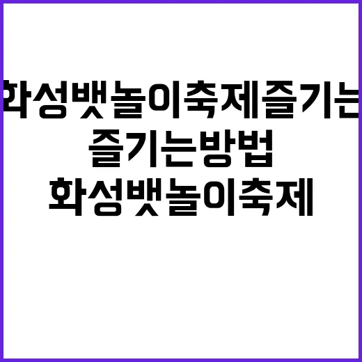화성 뱃놀이 축제 …