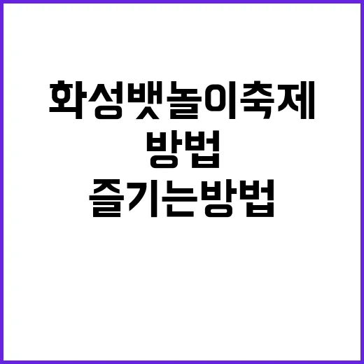 화성뱃놀이축제 즐기…