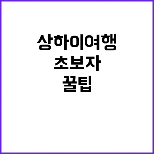 초보자를 위한 상하…