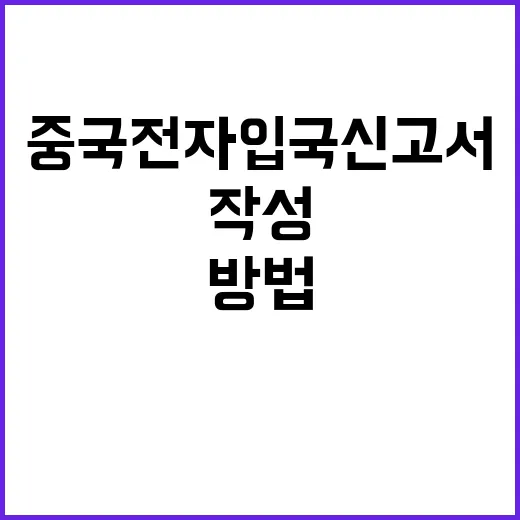 중국 전자입국신고서…