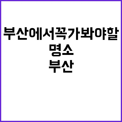 부산에서 꼭 가봐야…