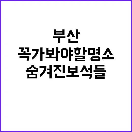 부산 여행: 꼭 가…