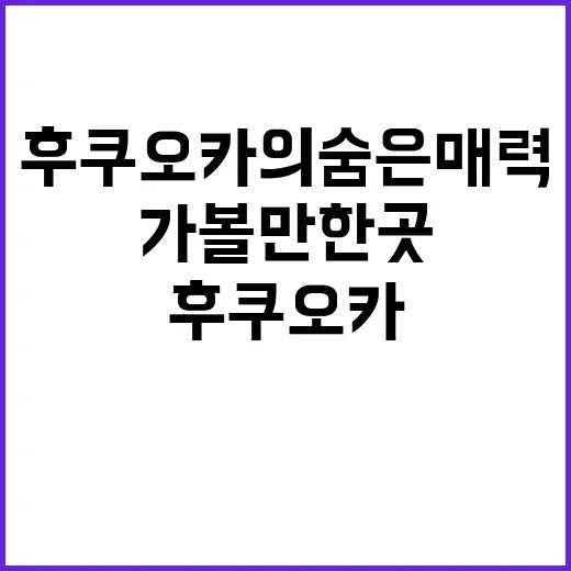 후쿠오카의 숨은 매…