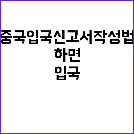 중국 입국신고서 작…