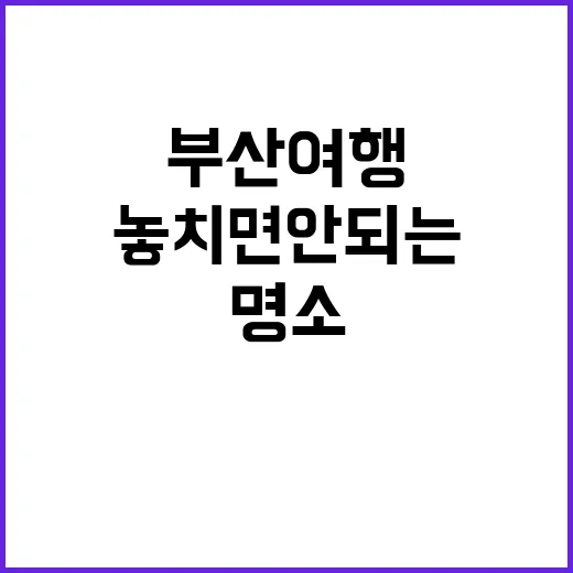 부산 여행, 놓치면…