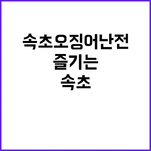 속초 오징어난전에서…