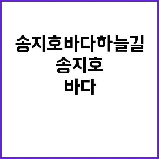 송지호 바다하늘길을…