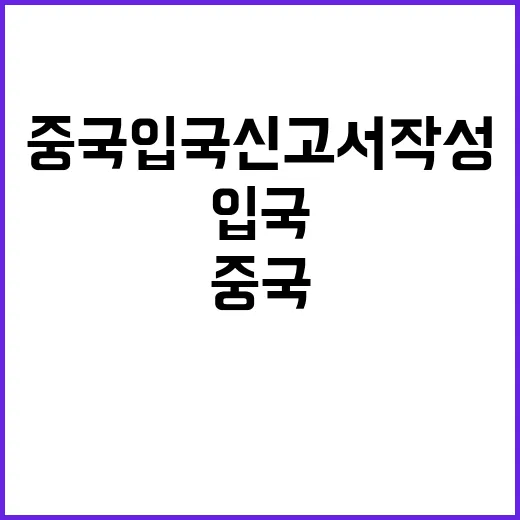 중국 입국신고서 작…