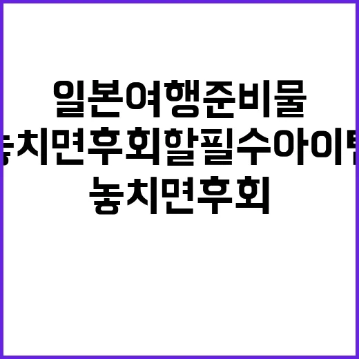 일본여행 준비물: …
