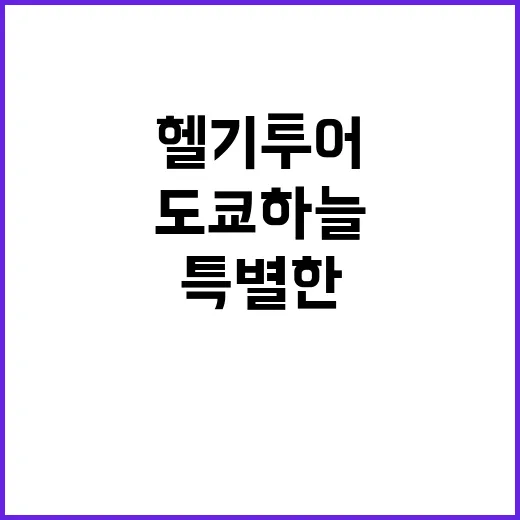 도쿄 하늘을 나는 …