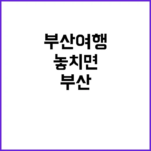 부산 여행에서 놓치…