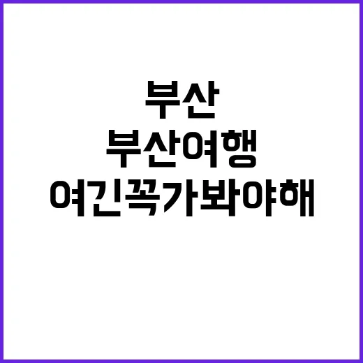 부산 여행, 여긴 …