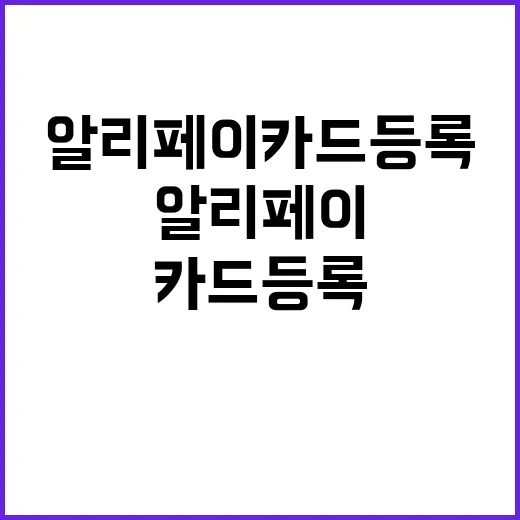 초보자를 위한 알리…