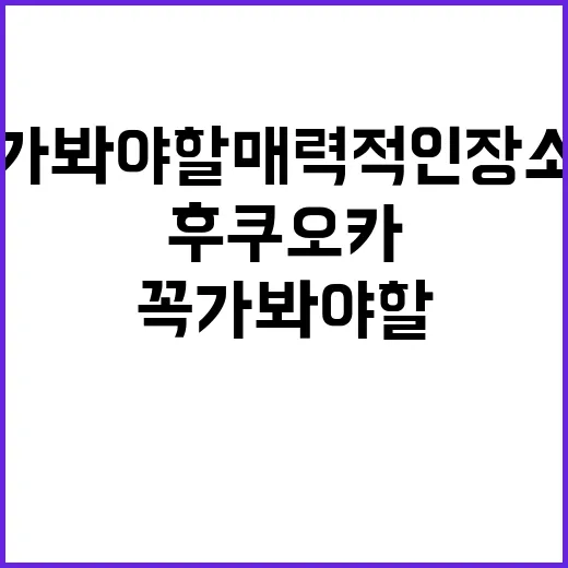 후쿠오카에서 꼭 가…