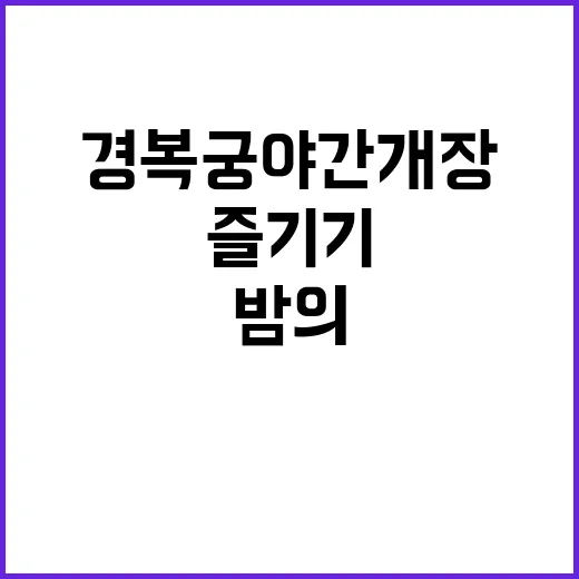 경복궁 야간개장, …