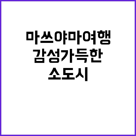 마쓰야마 여행: 감…