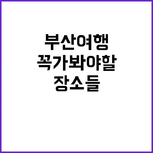 부산 여행: 꼭 가…