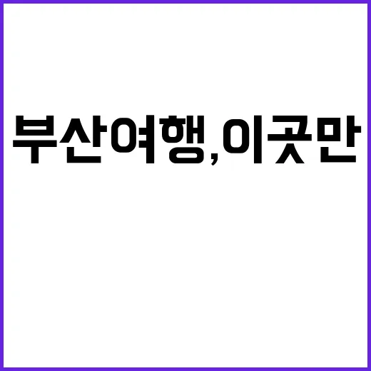 부산 여행, 이곳만은 꼭 가보세요!