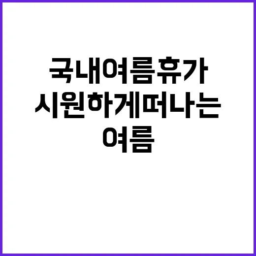 국내 여름 휴가, …