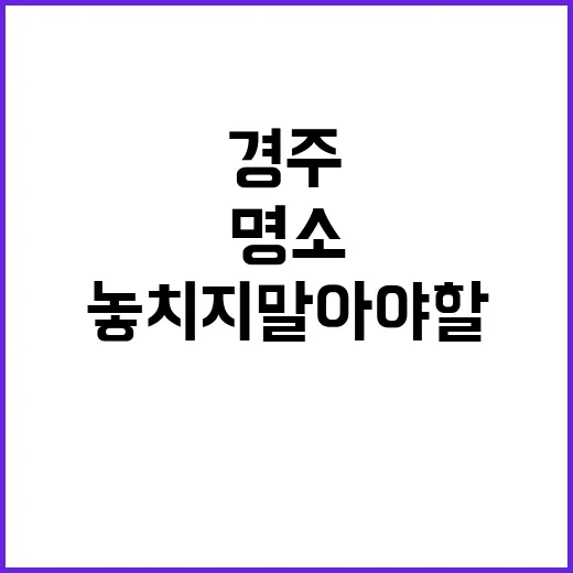 경주에서 놓치지 말…