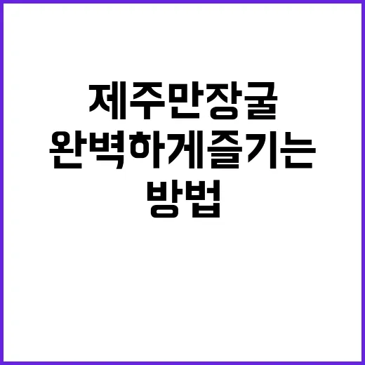 제주 만장굴 탐험을…