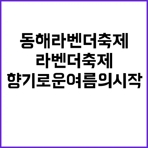 동해 라벤더축제를 …