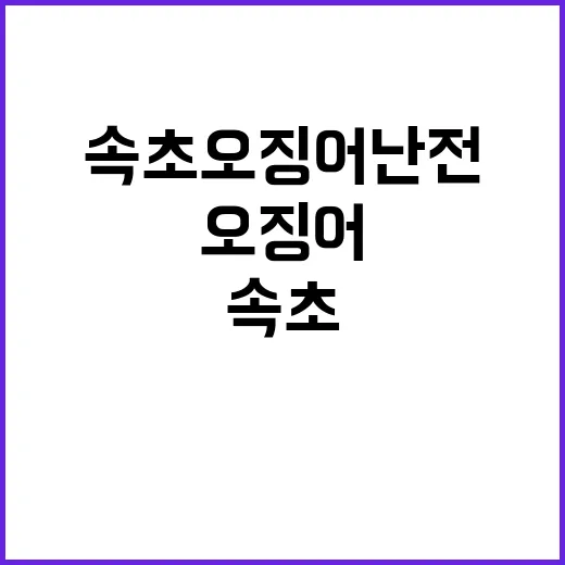 속초 오징어난전에서…