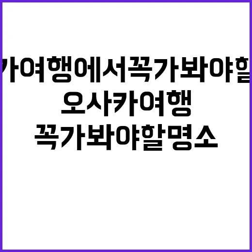 오사카 여행에서 꼭…