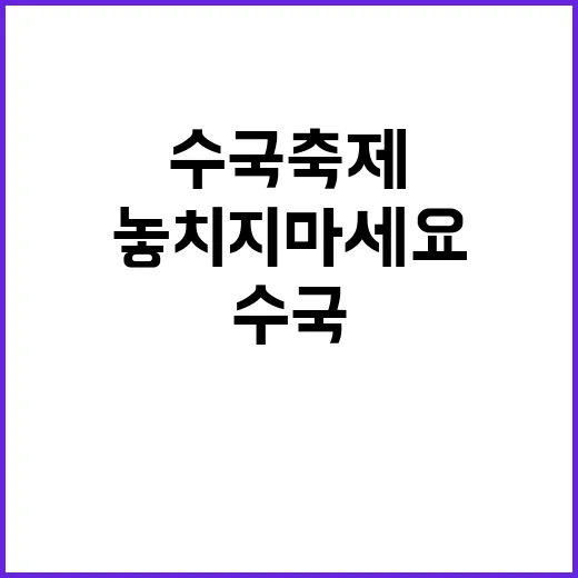 수국축제를 만끽하는 방법, 놓치지 마세요!