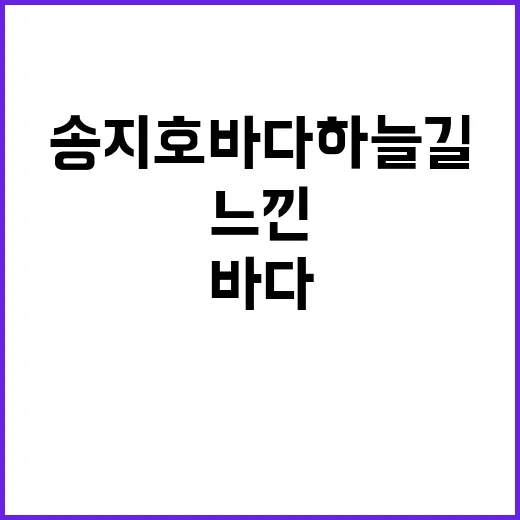 송지호 바다하늘길에…