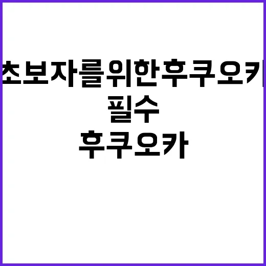 초보자를 위한 후쿠…