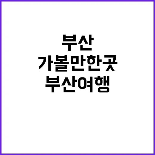 부산 여행의 매력을…