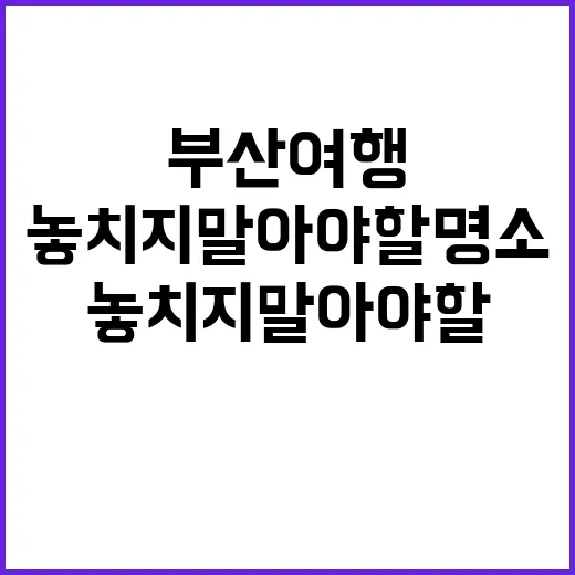 부산 여행, 놓치지…