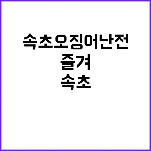 속초 오징어난전에서…