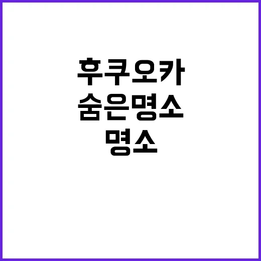 후쿠오카에서 쇼핑 …
