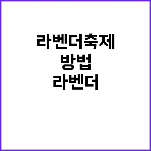 라벤더축제 즐기는 …